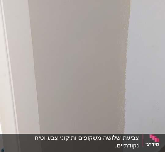 קיר צבוע חלקית בצבע בז